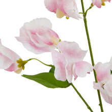 Load image into Gallery viewer, The Natural Garden Collection Pale Pink Sweetpea Stem
