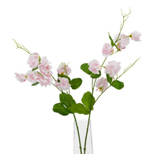 Load image into Gallery viewer, The Natural Garden Collection Pale Pink Sweetpea Stem
