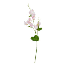 Load image into Gallery viewer, The Natural Garden Collection Pale Pink Sweetpea Stem
