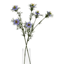 Load image into Gallery viewer, The Natural Garden Collection Purple Nigella Love In A Mist
