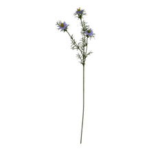 Load image into Gallery viewer, The Natural Garden Collection Purple Nigella Love In A Mist
