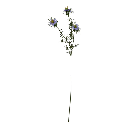 The Natural Garden Collection Purple Nigella Love In A Mist