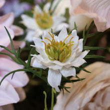 Load image into Gallery viewer, The Natural Garden Collection White Nigella Love In A Mist
