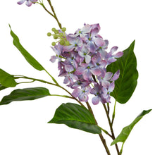 Load image into Gallery viewer, The Natural Garden Collection Purple Lilac Stem
