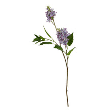 Load image into Gallery viewer, The Natural Garden Collection Purple Lilac Stem
