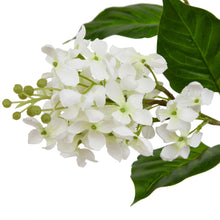 Load image into Gallery viewer, The Natural Garden Collection White Lilac Stem
