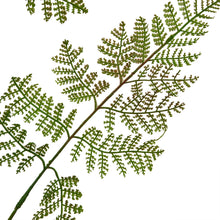 Load image into Gallery viewer, The Natural Garden Collection Large Bracken Fern Spray
