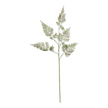 Load image into Gallery viewer, The Natural Garden Collection Large Bracken Fern Spray
