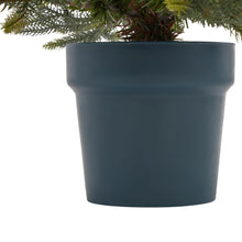 Load image into Gallery viewer, Potted Natural Pine Tree
