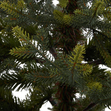 Load image into Gallery viewer, Potted Natural Pine Tree
