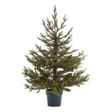 Load image into Gallery viewer, Potted Natural Pine Tree
