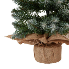 Load image into Gallery viewer, Medium Snowy Conifer Tree In Hessian Wrap
