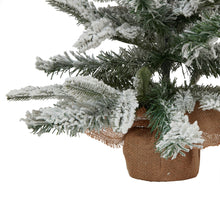 Load image into Gallery viewer, Medium Snowy Spruce Tree
