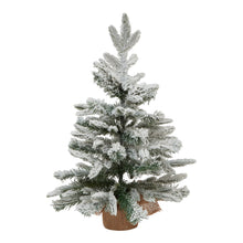 Load image into Gallery viewer, Medium Snowy Spruce Tree
