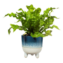 Load image into Gallery viewer, Mojave Glaze Blue Large Planter
