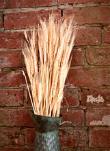 Load image into Gallery viewer, Decorative Dried Wheat 60cm
