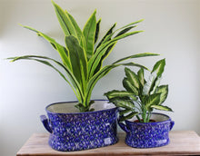 Load image into Gallery viewer, Set of 2 Ceramic Footbath Planters, Vintage Blue &amp; Green Crocus Design
