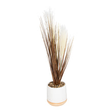 Load image into Gallery viewer, Artificial Grasses In A White Pot With White Feathers - 50cm
