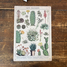 Load image into Gallery viewer, Vintage Metal Sign - Retro Cacti &amp; Succulents Identification Picture
