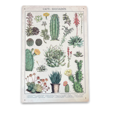 Load image into Gallery viewer, Vintage Metal Sign - Retro Cacti &amp; Succulents Identification Picture
