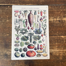 Load image into Gallery viewer, Vintage Metal Sign - Vintage Botanical Kitchen Vegetables Sign
