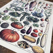 Load image into Gallery viewer, Vintage Metal Sign - Vintage Botanical Kitchen Vegetables Sign
