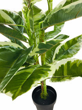 Load image into Gallery viewer, Artificial Large 110cm Rubber Ficus
