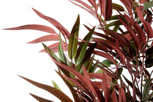 Load image into Gallery viewer, Bamboo Tree Red &amp; Green 180cm
