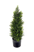 Load image into Gallery viewer, Cedar Topiary 58cm
