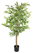 Load image into Gallery viewer, Artificial Ficus Tree With Variegation Leaves 150cm
