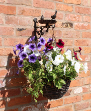 Load image into Gallery viewer, Cast Iron Hanging Basket Wall Bracket With Bird Feeder
