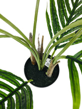 Load image into Gallery viewer, Artificial Palm Tree 65cm
