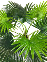 Load image into Gallery viewer, Artificial Fan Palm Tree 150cm
