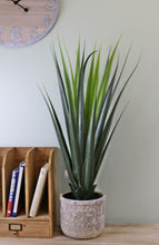 Load image into Gallery viewer, Artificial Aloe Vera Plant, 80cm
