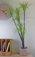 Load image into Gallery viewer, Artificial Dracaena Marginata tree, 120cm
