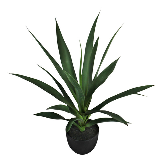 Artificial Yucca Plant, 60cm