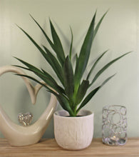 Load image into Gallery viewer, Artificial Yucca Plant, 60cm
