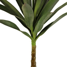 Load image into Gallery viewer, Artificial Single Trunk Yucca Tree, 80cm
