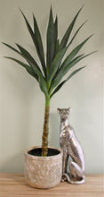 Load image into Gallery viewer, Artificial Single Trunk Yucca Tree, 80cm
