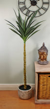 Load image into Gallery viewer, Artificial Single Trunk Yucca Tree, 130cm
