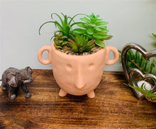 Load image into Gallery viewer, Face Terracotta Pot With Faux Cacti Large
