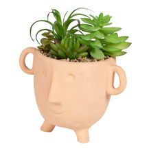 Load image into Gallery viewer, Face Terracotta Pot With Faux Cacti Large
