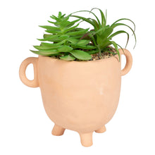 Load image into Gallery viewer, Face Terracotta Pot With Faux Cacti Large
