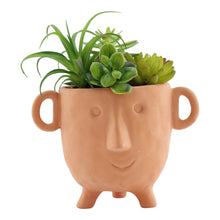 Load image into Gallery viewer, Face Terracotta Pot With Faux Cacti Large
