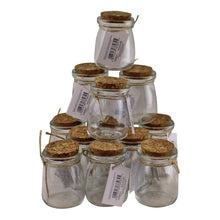 Load image into Gallery viewer, Set of 12 Small, Craft Storage Glass Jars With Cork Stoppers
