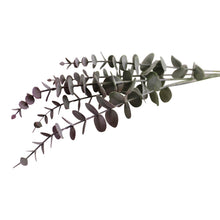 Load image into Gallery viewer, Blue &amp; Blush Coloured Single Spray of Eucalyptus Leaves, 71cm
