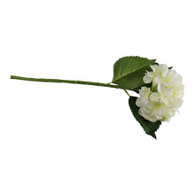 Load image into Gallery viewer, Single Hydrangea Spray, Cream Flower, 49cm
