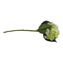 Load image into Gallery viewer, Single Hydrangea Spray, Cream &amp; Green Flower, 49cm
