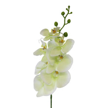 Load image into Gallery viewer, Single Orchid Spray, Cream Flowers, 85cm
