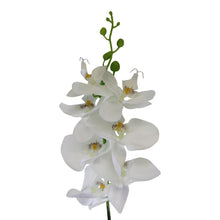 Load image into Gallery viewer, Single Orchid Spray, White Flowers, 85cm
